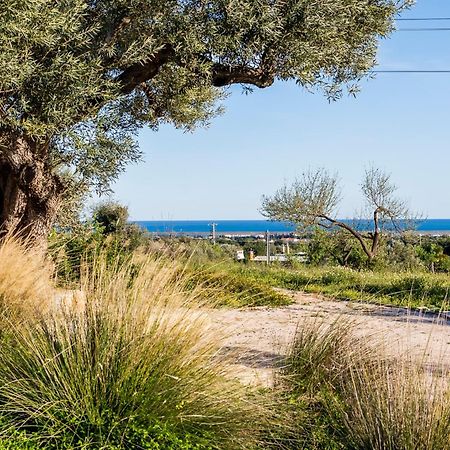 Quinta Da Baleeira Villa Tavira Buitenkant foto